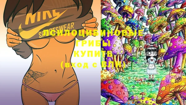 таблы Нея