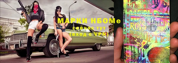 прущие грибы Нефтекумск