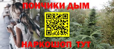 прущие крисы Камышлов