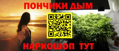 прущие крисы Камышлов