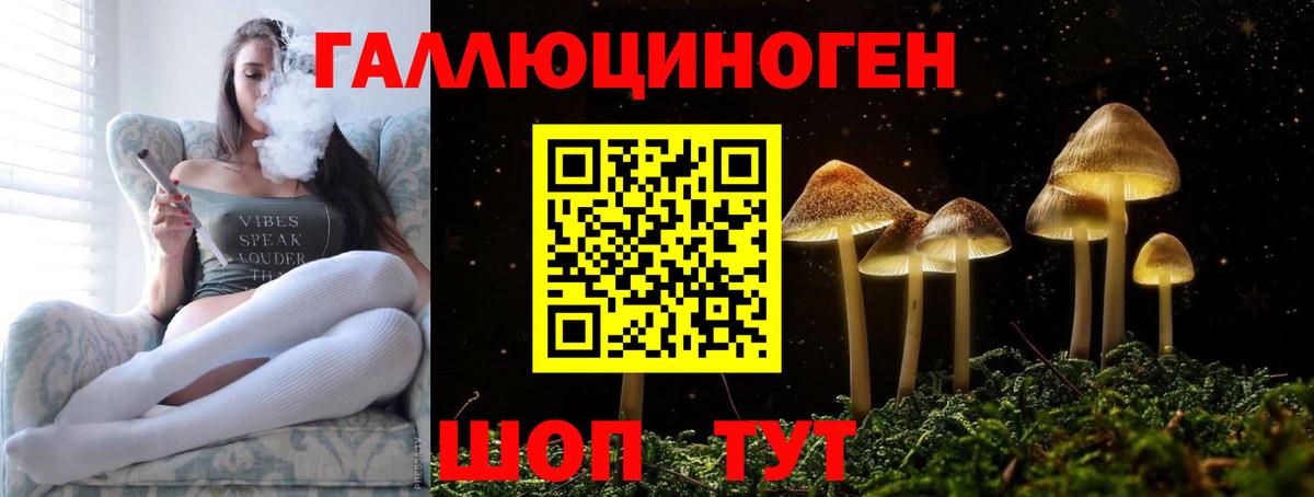 Псилоцибиновые грибы Psilocybine cubensis Лиски